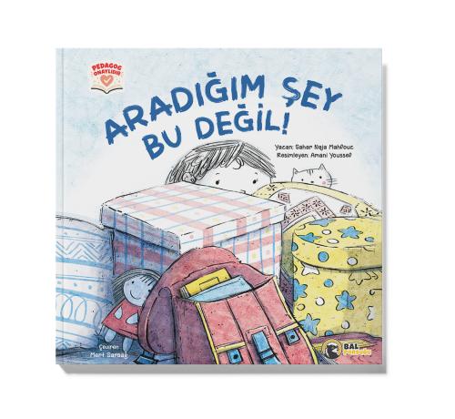 ARADIĞIM ŞEY BU DEĞİL!