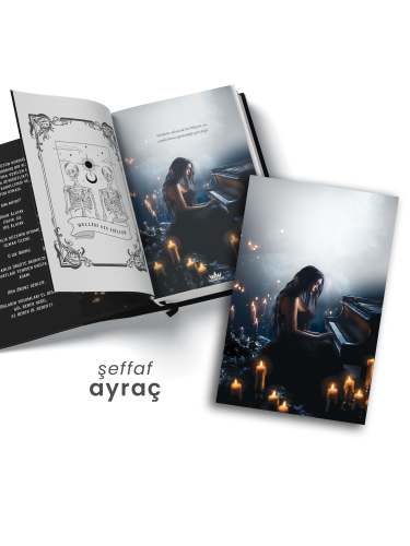 SET-BRONZ SERİSİ (4 KİTAP)-CİLTLİ SET-BRONZ SERİSİ (4 KİTAP)-CİLTLİ